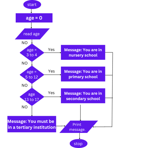 Flow chart algorithm where ages are entered and the matching school is returned.