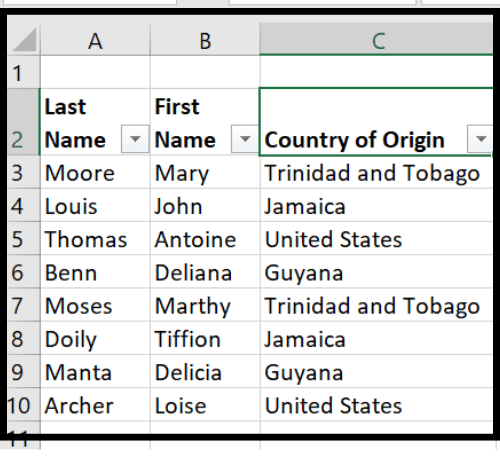 Picture showing the arrows that appear in the spreadsheet when a filter is requested.