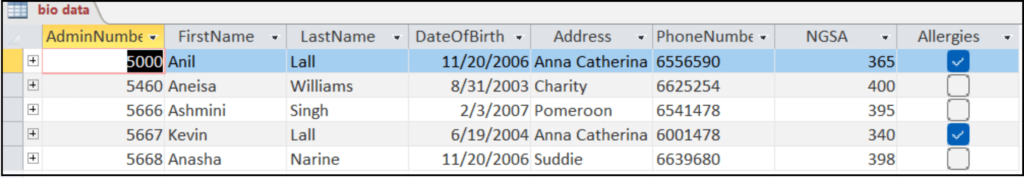 Calculated Field In Access Query