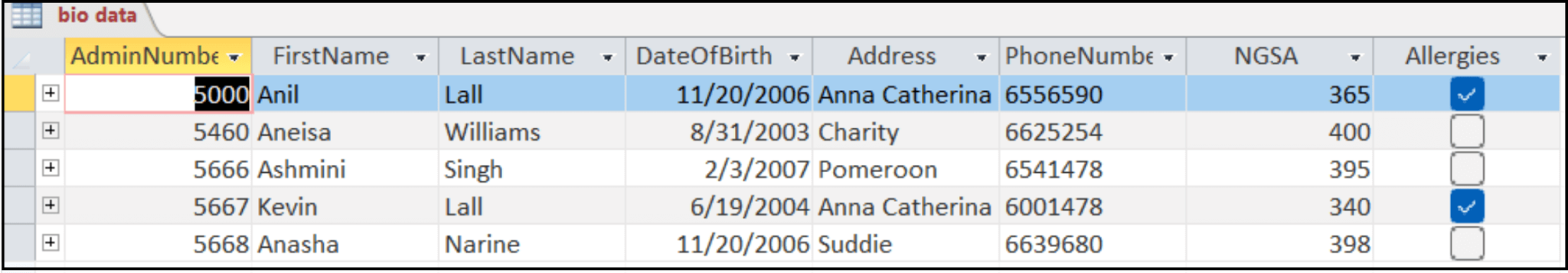 Calculated Field In Access Query