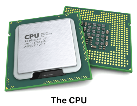 Two CPUs. One faced upward and one faced down.